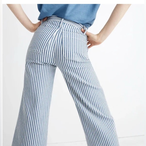 Madewell Emmett Wide-Leg Crop Pants in Herringbone Railroad Stripe size 27 1608 - Picture 2 of 11